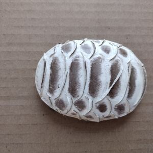 Snakeskin Belt Buckle NWOT